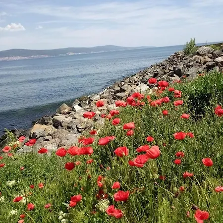 Appart hôtel Apartcomplex Royal Sun Slantchev Briag